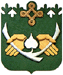 Герб города Костомукша