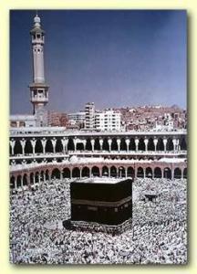 news-2NTi5jRBZO