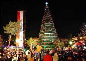 Высота елки в Дамаске  составляет 30 метров.