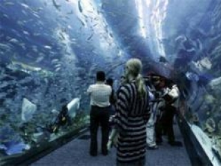 Гигантский аквариум в торговом центре Dubai Mall