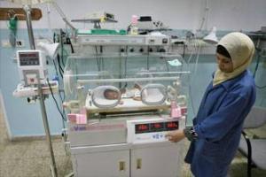 Уровень послевоенной рождаемости  в Палестине выше обычного