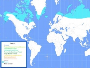 Синим на карте показана тундра