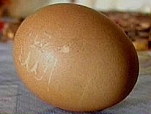 Чудесное яйцо
