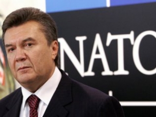 Украина в лице Януковича надеется занять «достойное место» в новой концепции НАТО