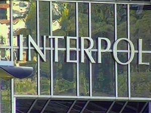 У Интерпола две заботы - нелегальная миграция и интернет