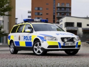 Полиция Швеции арестовала 28-летнего гражданина страны