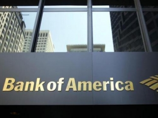 Bank of America считает, что именно он является тем самым "американским банком", который сайт WikiLeaks пообещал "разрушить" с помощью разоблачения коррупционных схем