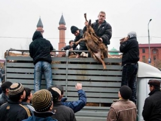 Несанкционированная торговля животными на улице Хачатуряна в Москве