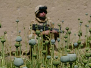 После начала американской агрессии в произошел многократный рост наркотрафика из Афганистана