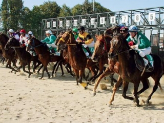 В конноспортивных состязаниях приняли участие более 60 элитных лошадей чистокровной верховой породы.