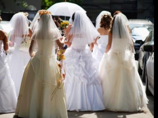 Все невесты соберутся для шествия в Махачкале