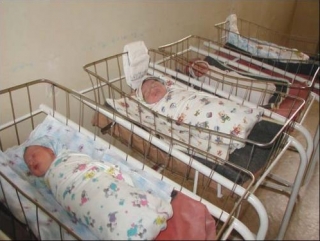 Самый высокий уровень рождаемости традиционно наблюдается на Кавказе