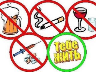 28% жителей России никогда не употребляют алкогольных напитков
