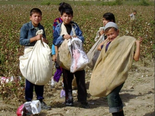 "Инструментами" для Каримовой являются узбекские дети в возрасте от семи лет, которые работают, в среднем, 70 часов в неделю