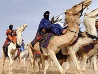 Туареги установили контроль над северными территориями Мали