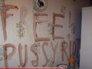 Надпись на английском "Свободу Pussy Riot" убийцы сделали кровью своих жертв
