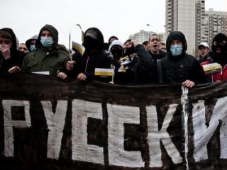 Активисты «Щита Москвы» временно прекращают свои рейды к мигрантам