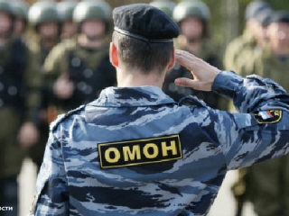 Московский ОМОН показал свою эффективность. Фото: РИА Новости