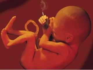 Дети от курящих матерей могут иметь никотиновую зависимость в жизни