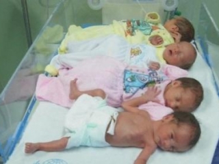 В Газе сохраняется положительная динамика рождаемости
