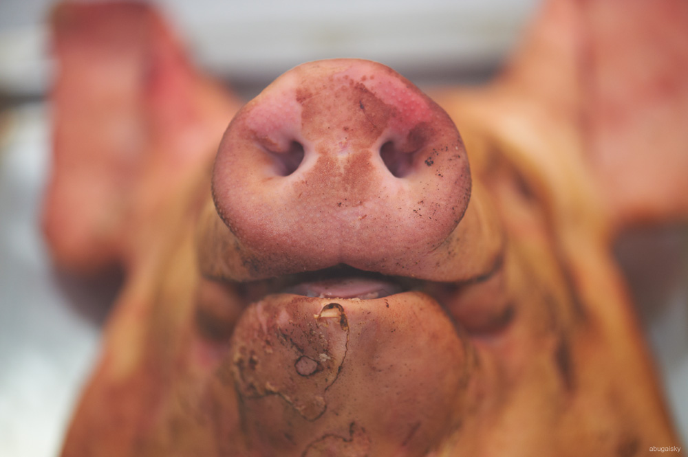 В ходе одной из проверок в цеху ОАО «Царицыно» по производству халяля была обнаружена свинина 