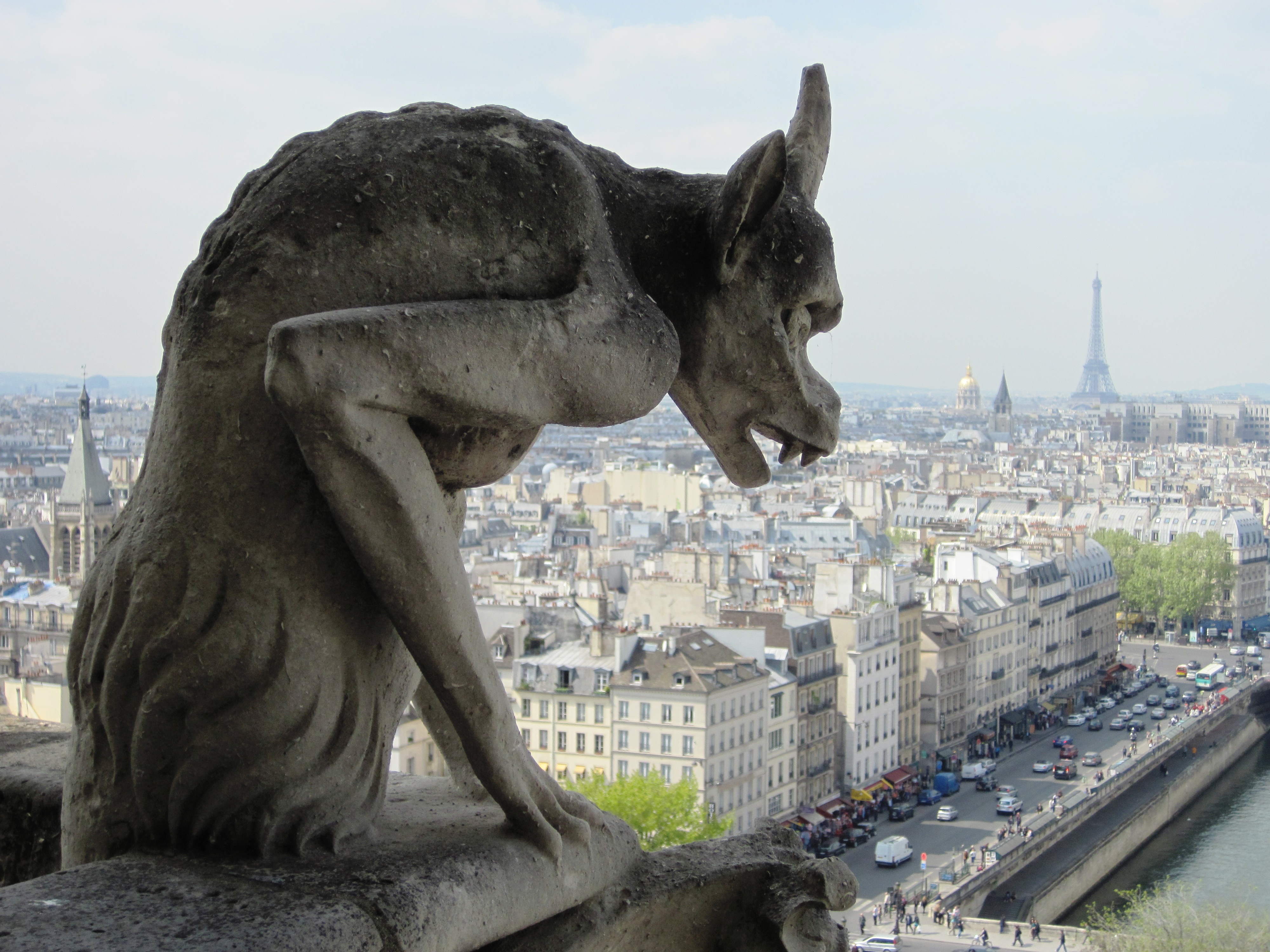 Вид с собора Парижской богоматери
