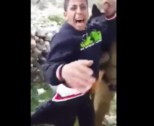 Фрагмент видео с сайта правозащитной организации Израиля B'Tselem