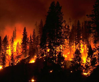 В Хакасии небывалые лесные пожары