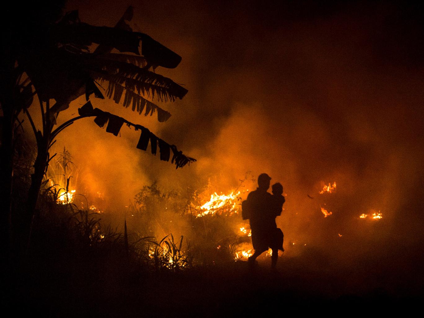 Лесной пожар на острове Суматра