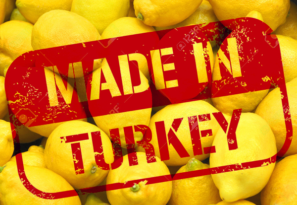 Турецкие производители наращивают поставки в РФ продукции, не попавшей под санкции
