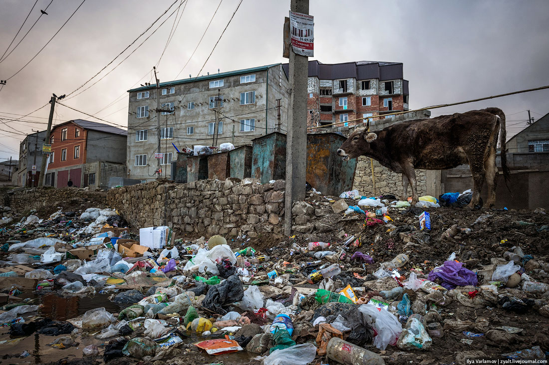 Махачкалу называют «мусорной столицей России»