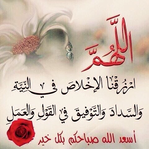 «О Аллах! Облагодетельствуй нас искренними намерениями, а также здравостью и согласием в словах и делах» - повседневная мольба мусульманина