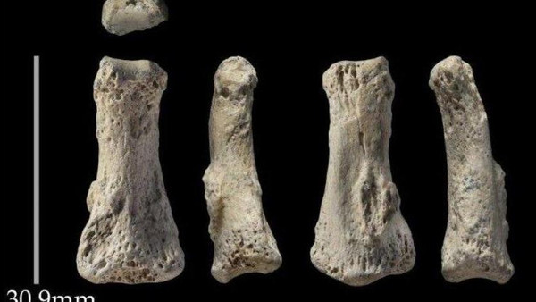 Останки homo sapiens, найденные археологами