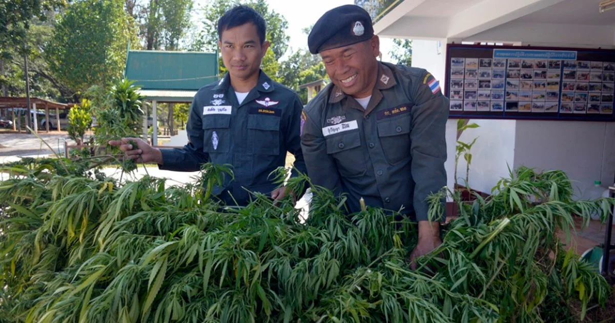 Тайланд легальная марихуана пироги из конопли