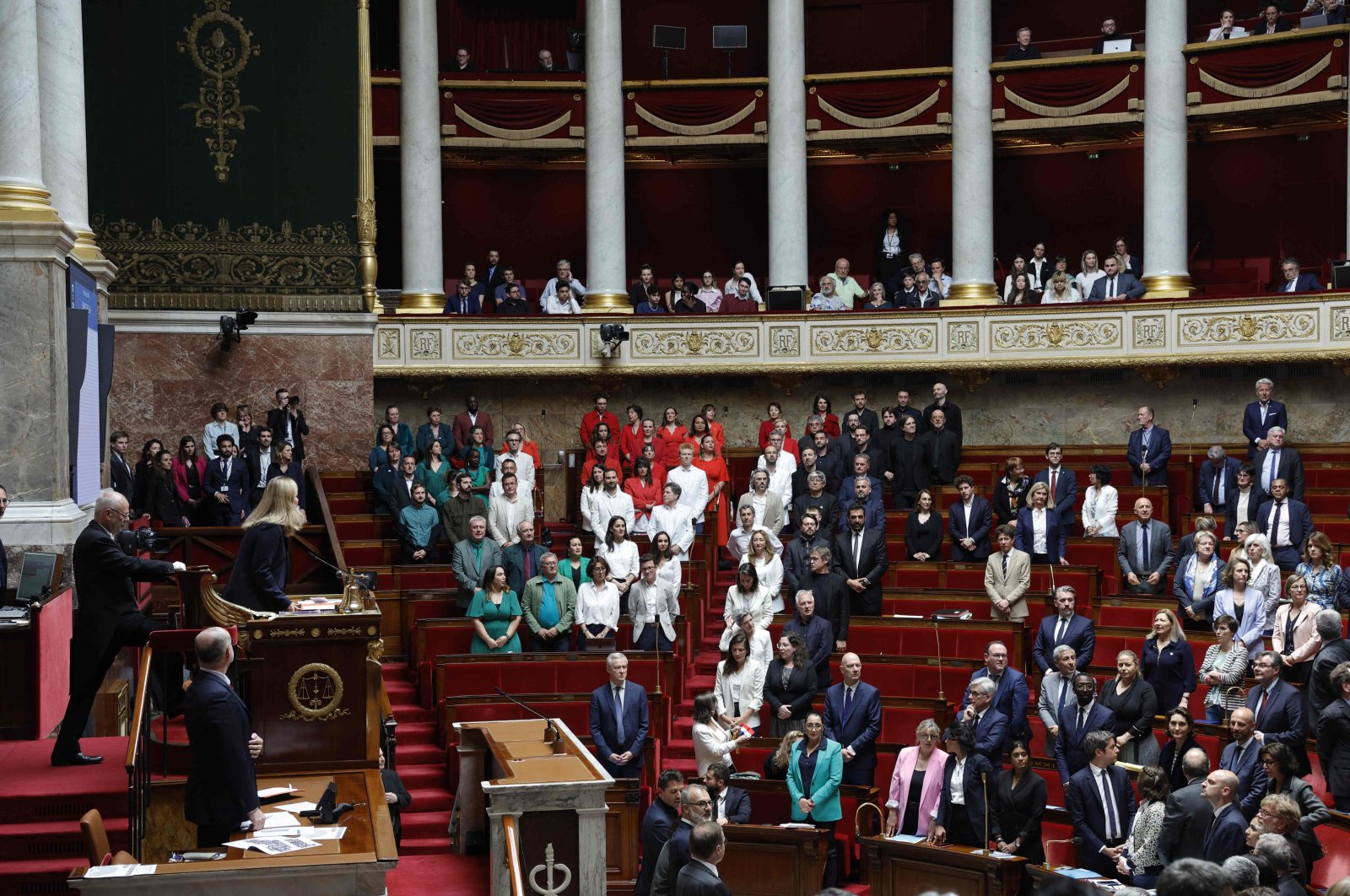 Французские депутаты оделись в цвета палестинского флага