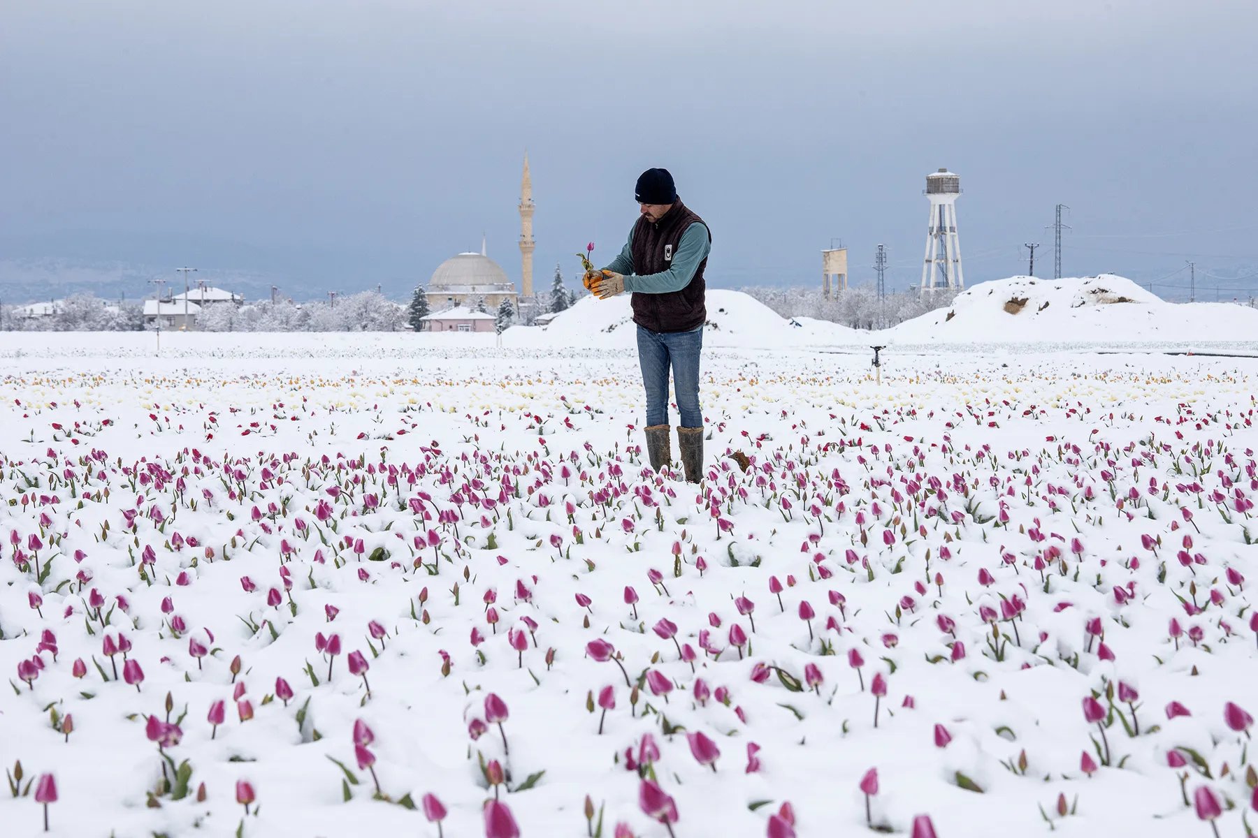 фото Seyit Konyali/Anadolu/Getty Images
