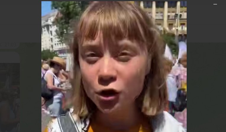 Грета Тунберг. Фрагмент видео, источник: соцсети