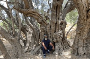 фото The week in Palestine