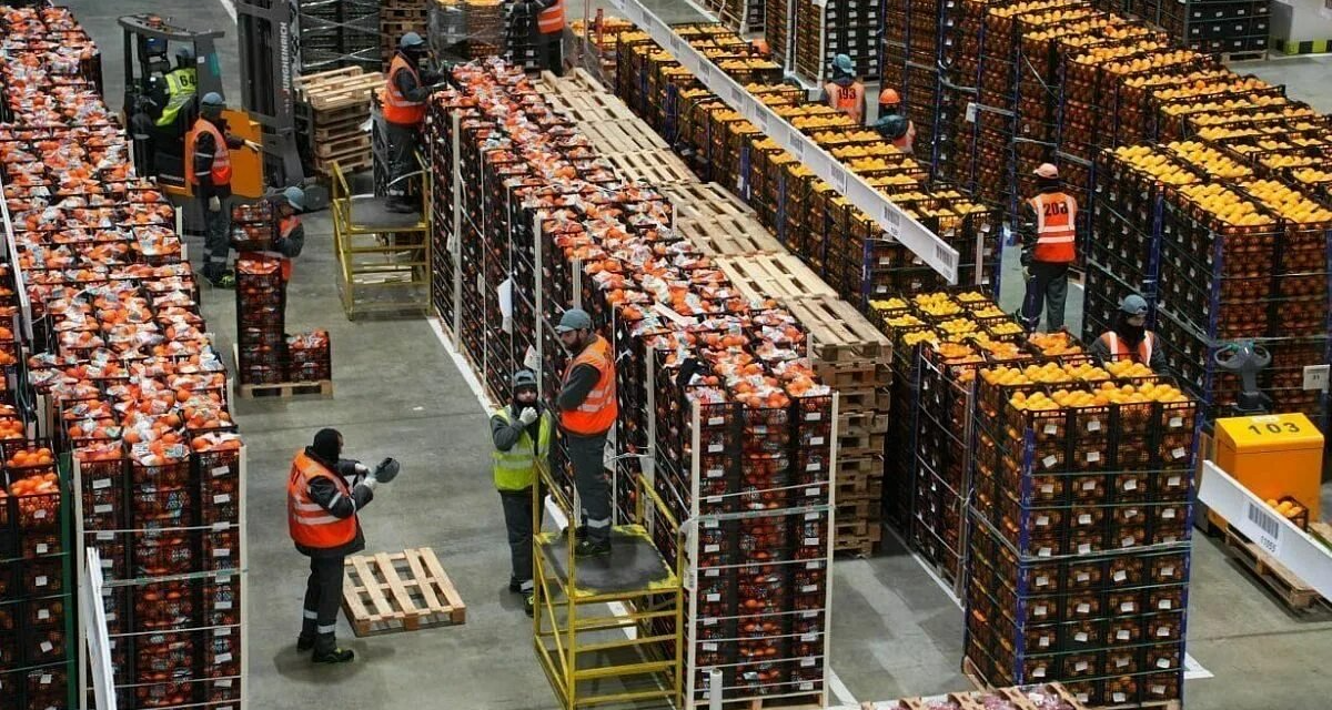 Фото: соцсети