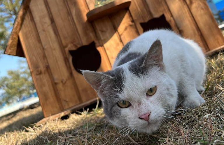 фото Грозный-информ