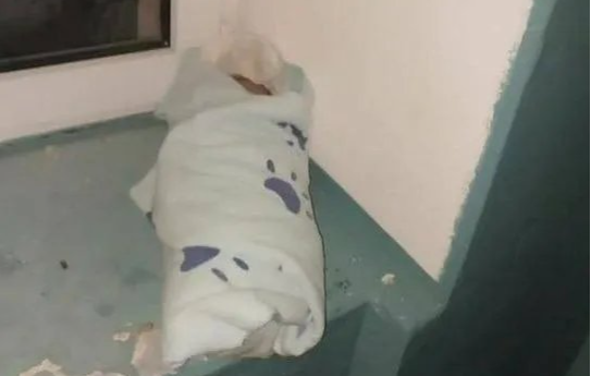 фото «Вести-Татарстан»