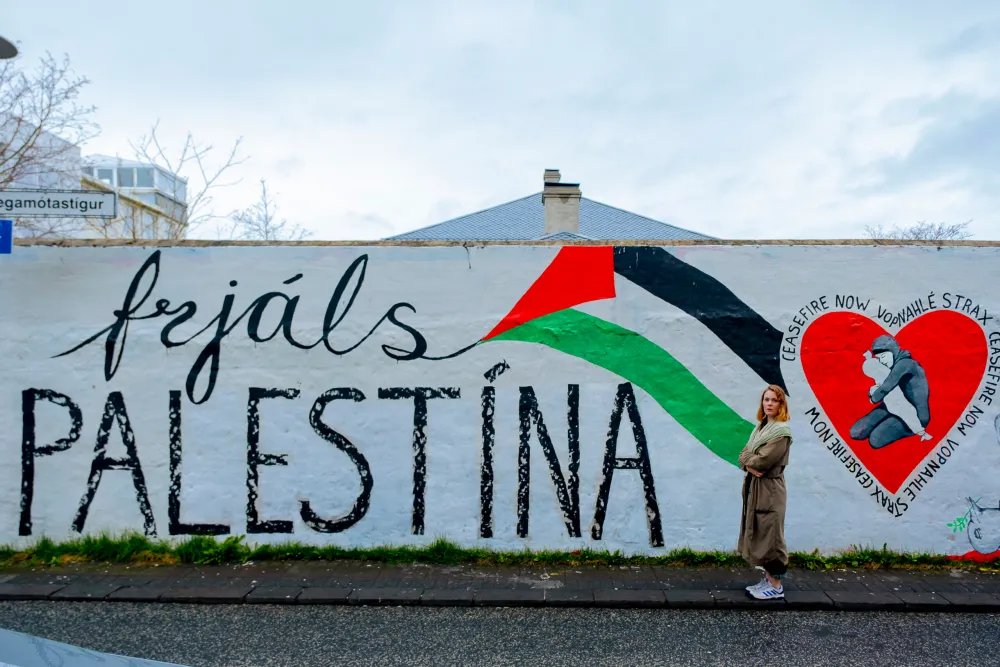 фото Reykjavík Grapevine