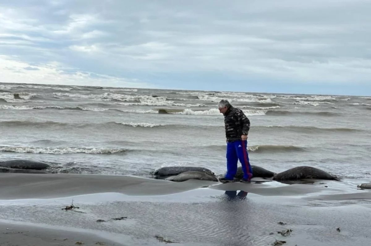 Минприроды РФ