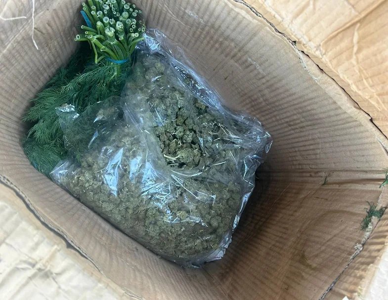 Фото: Телеграм-канал Россельхознадзора