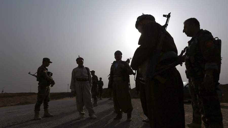 Курды. Фото: TASS/AP/Hadi Mizban