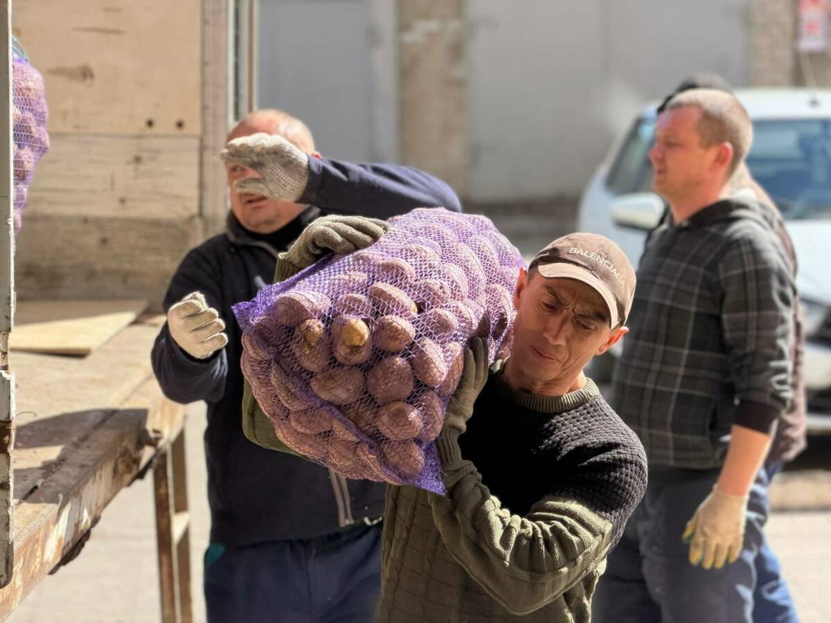 Фото: аппарат вице-премьера РТ Рината Садыкова