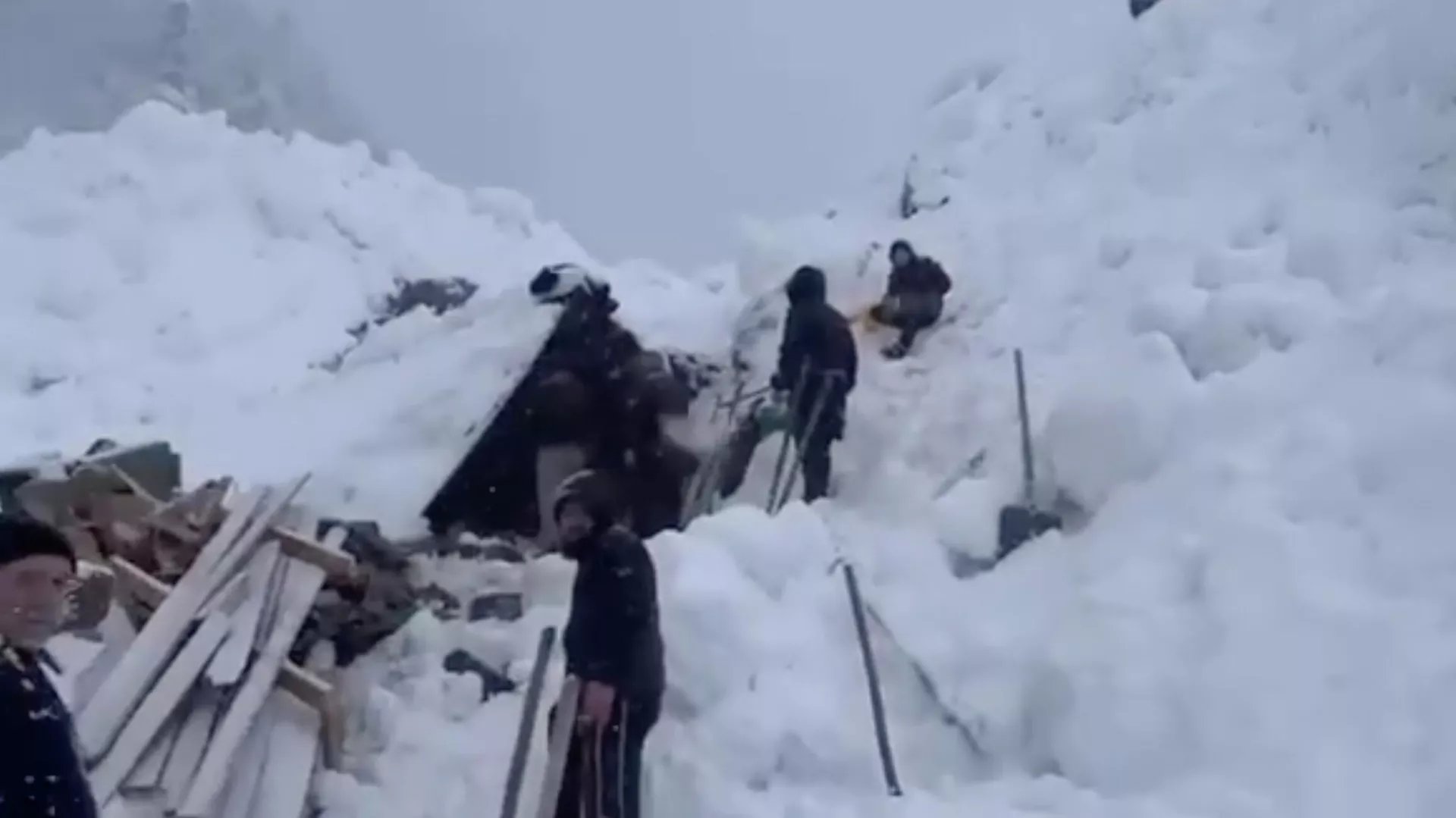 Фото: соцсети