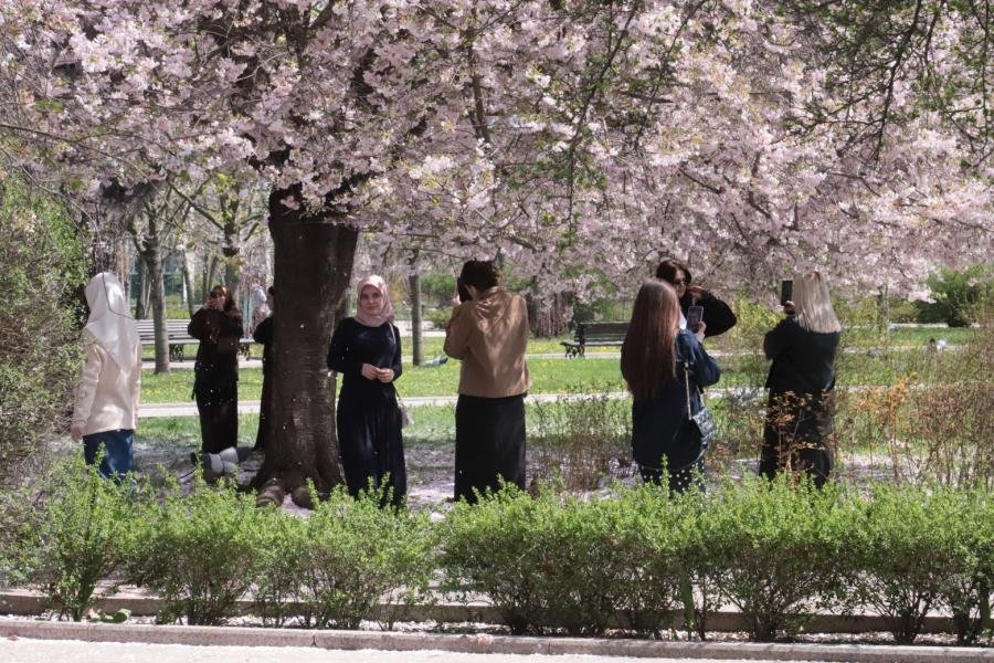 Фото: «Грозный-информ»