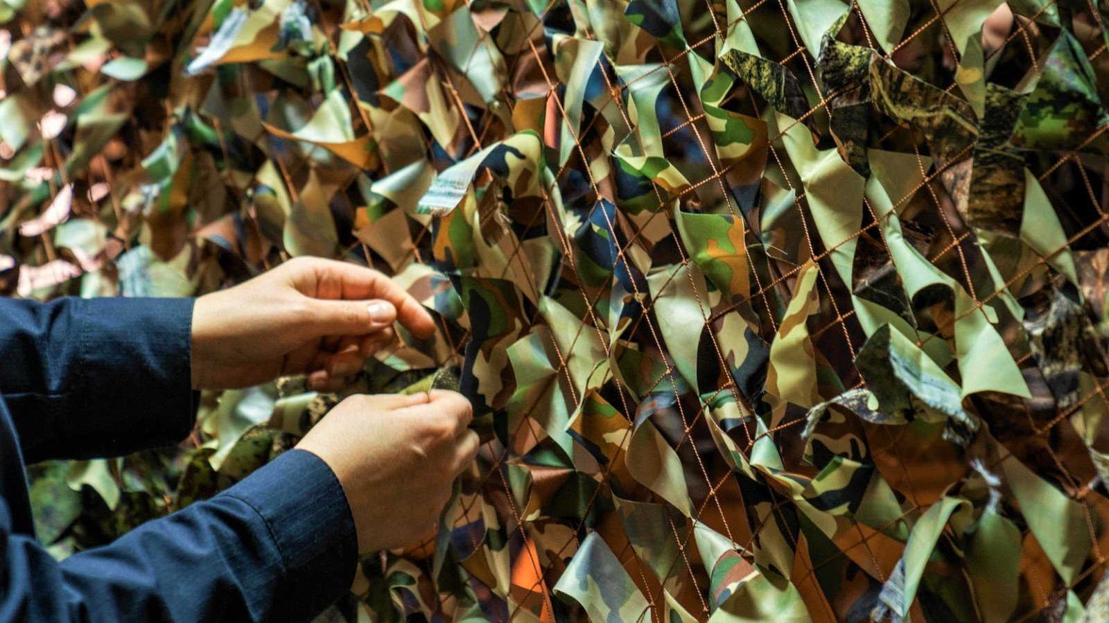 Фото: соцсети