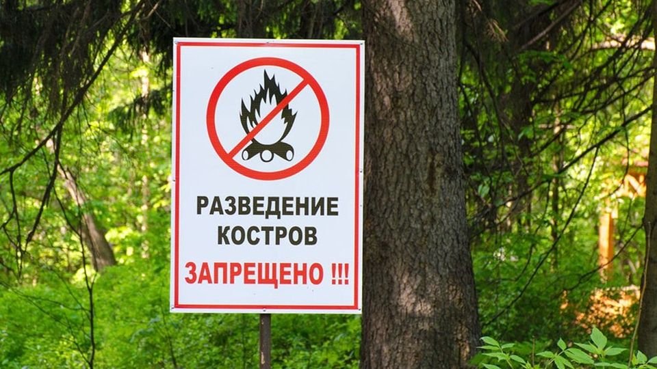 Фото: мэрия Сочи